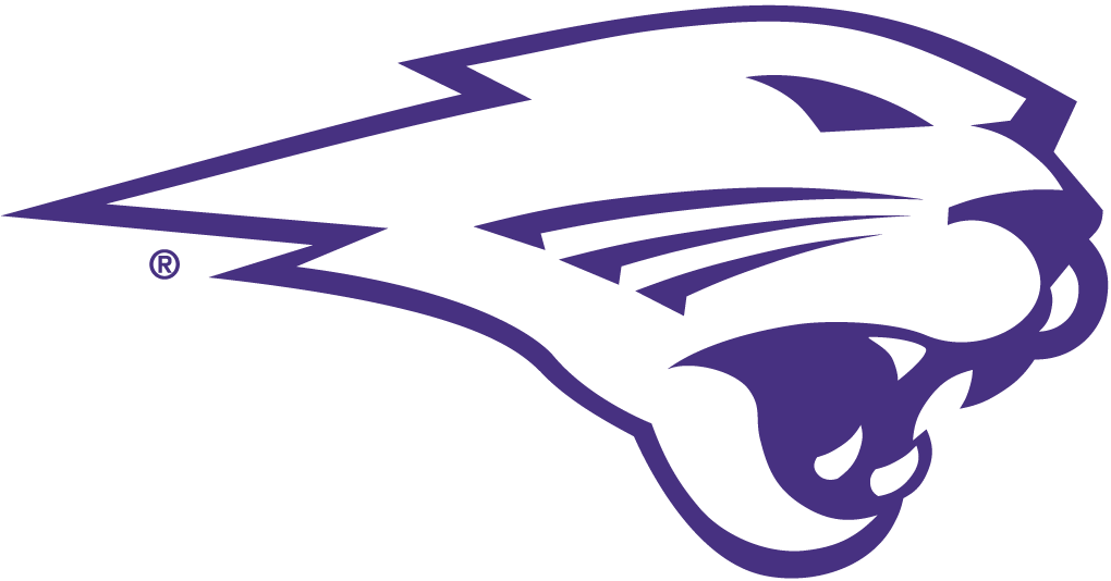 Northern Iowa Panthers 2002-Pres Partial Logo v2 iron on transfers for fabric